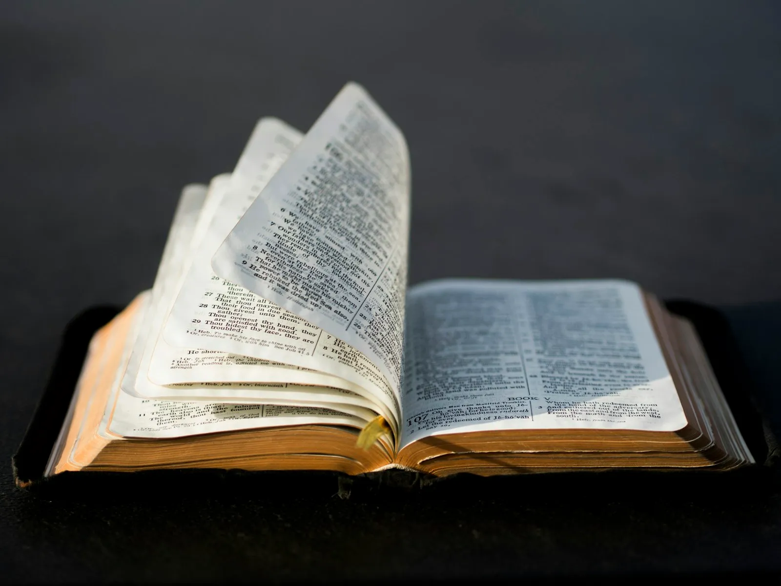 Open Bible illuminated by natural sunlight