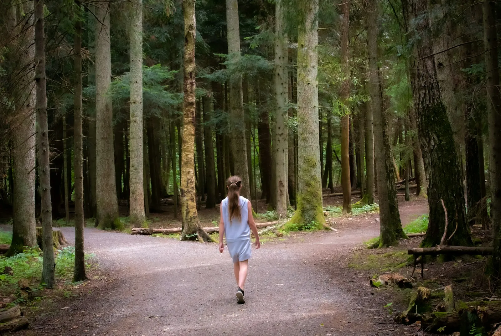 Person walking a forest path among the trees